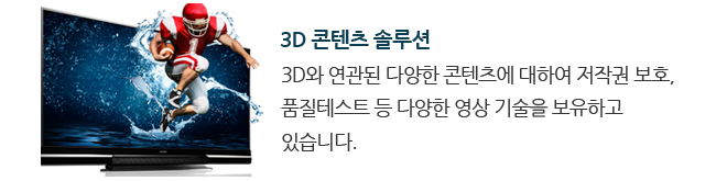 3D 콘텐츠 솔루션 : 3D와 연관된 다양한 콘텐츠에 대하여 저작권 보호, 품질테스트 등 다양한 영상 기술을 보유하고 있습니다.
