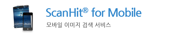 모바일 이미지 검색 서비스