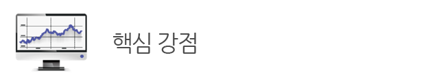 핵심 강점