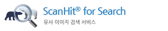 유사 이미지 검색 서비스