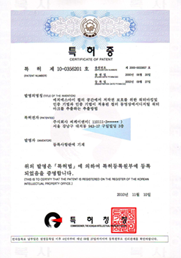 특허 제 10-0356201 호