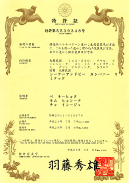 Patent No. 5539348