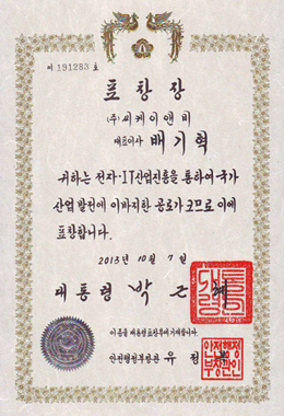 전자IT의 날 표창장 전자정보통신산업진흥회 (2013)